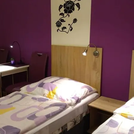 Guest house Apartmany - Penzion Smetanka 3*