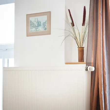 Apartmany - Penzion Smetanka Guest house 3*
