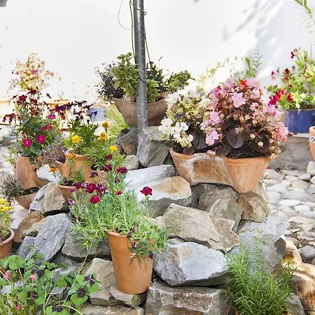 Apartmany - Penzion Smetanka Guest house Ceske Budejovice