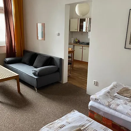 Apartmany - Penzion Smetanka 3*