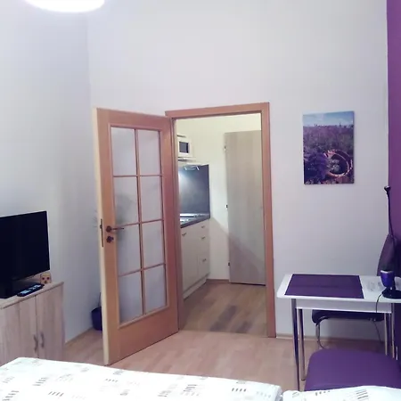Guest house Apartmany - Penzion Smetanka 3*