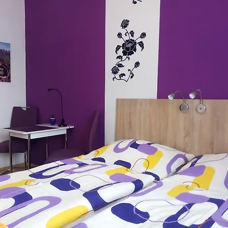 Apartmany - Penzion Smetanka Guest house 3*