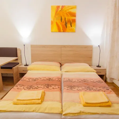 Guest house Apartmany - Penzion Smetanka 3*