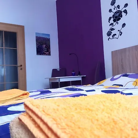 Guest house Apartmany - Penzion Smetanka 3*