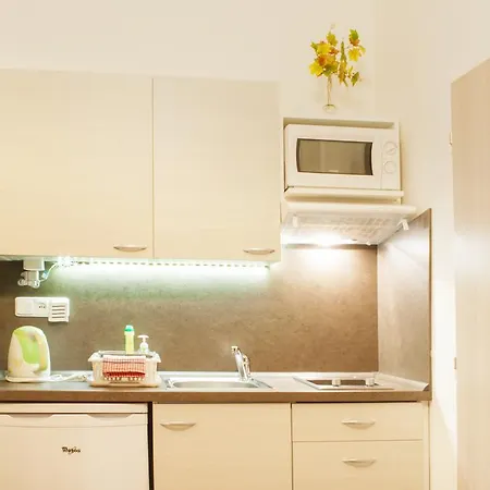 Guest house Apartmany - Penzion Smetanka Ceske Budejovice