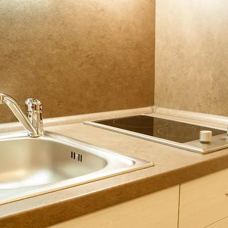 Apartmany - Penzion Smetanka Guest house Ceske Budejovice