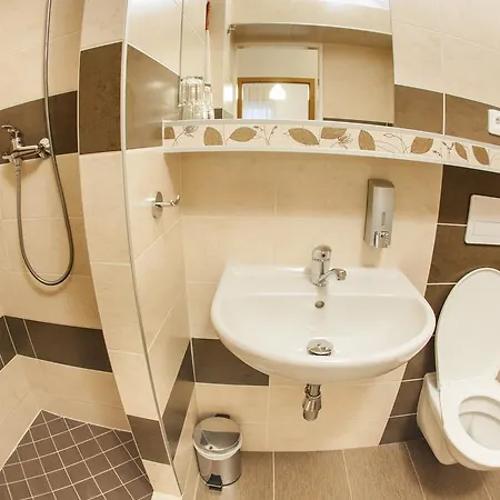 Guest house Apartmany - Penzion Smetanka Ceske Budejovice