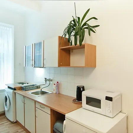 Apartmany - Penzion Smetanka 3* Ceske Budejovice